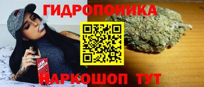 сатива Азнакаево