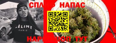 сатива Азнакаево