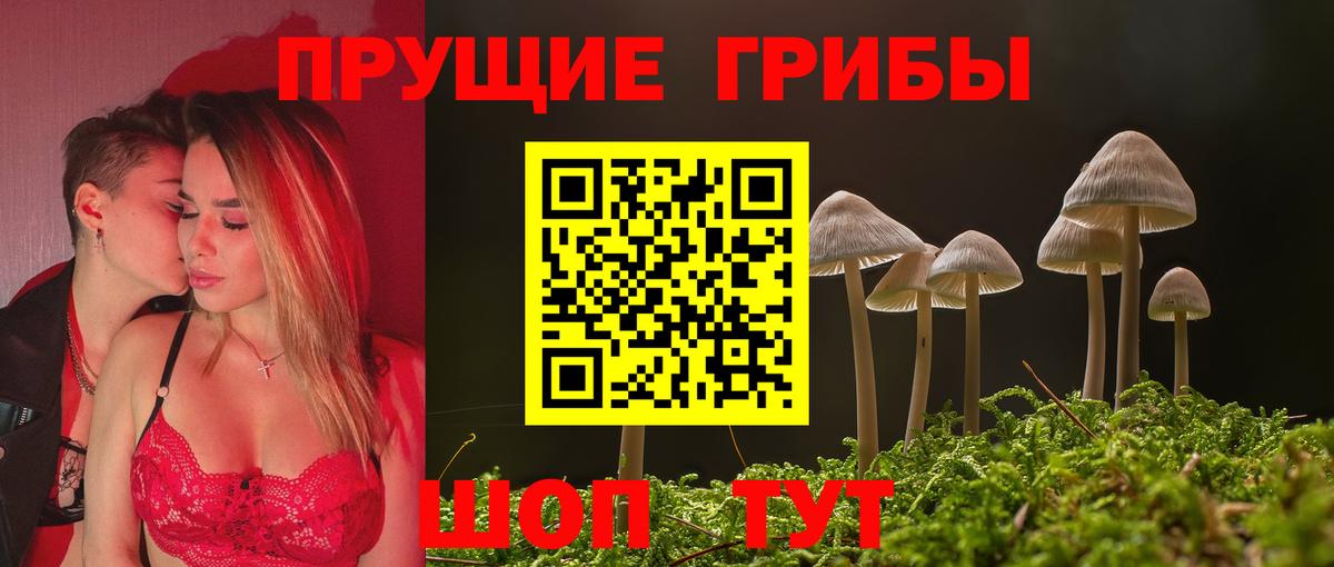 Галлюциногенные грибы Psilocybe Артём