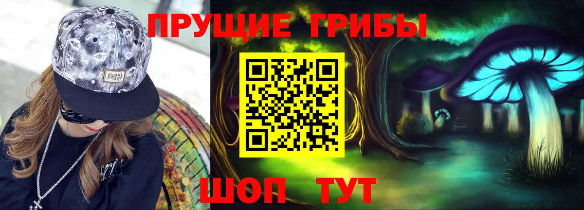 Артём  Галлюциногенные грибы MAGIC MUSHROOMS  Вход с VPN 